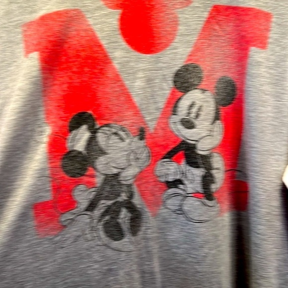 Authentic Disney Hooded Top, Size 2X, NWOT, PTP 24”, L30”, long sleeve - Picture 3 of 8